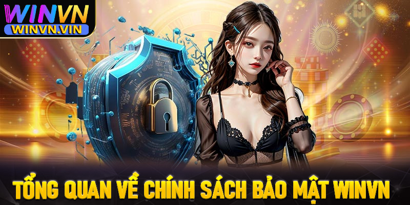 Tổng quan chung về trang chính sách bảo mật winvn