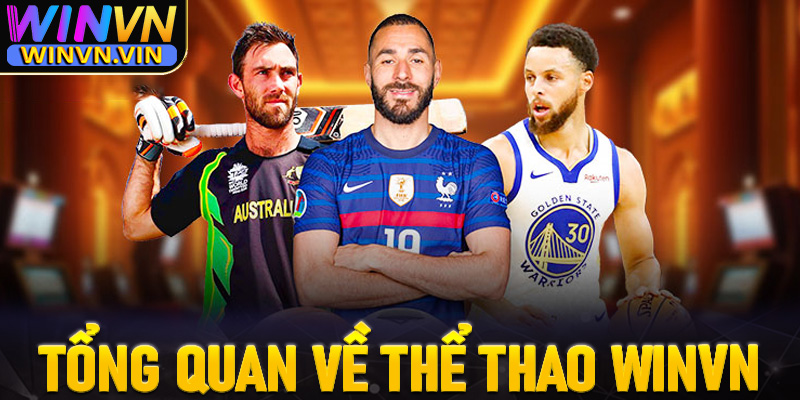 Khái quát tổng quan chung về sảnh thể thao winvn